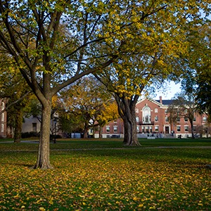 Brown University main green