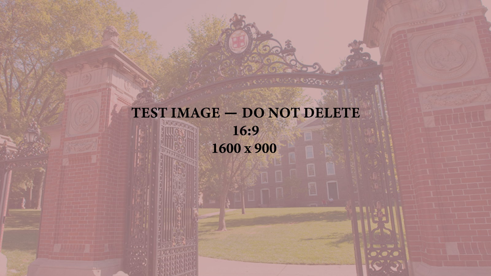 Test Image