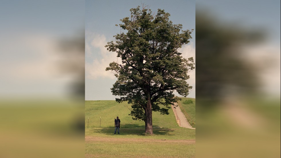 photo of a man standing under a large tree